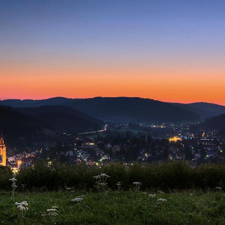 Drei Tannen - Wohnung 04 - Apartmenthaus, Titisee, Nahe Badeparadies Dış mekan fotoğraf