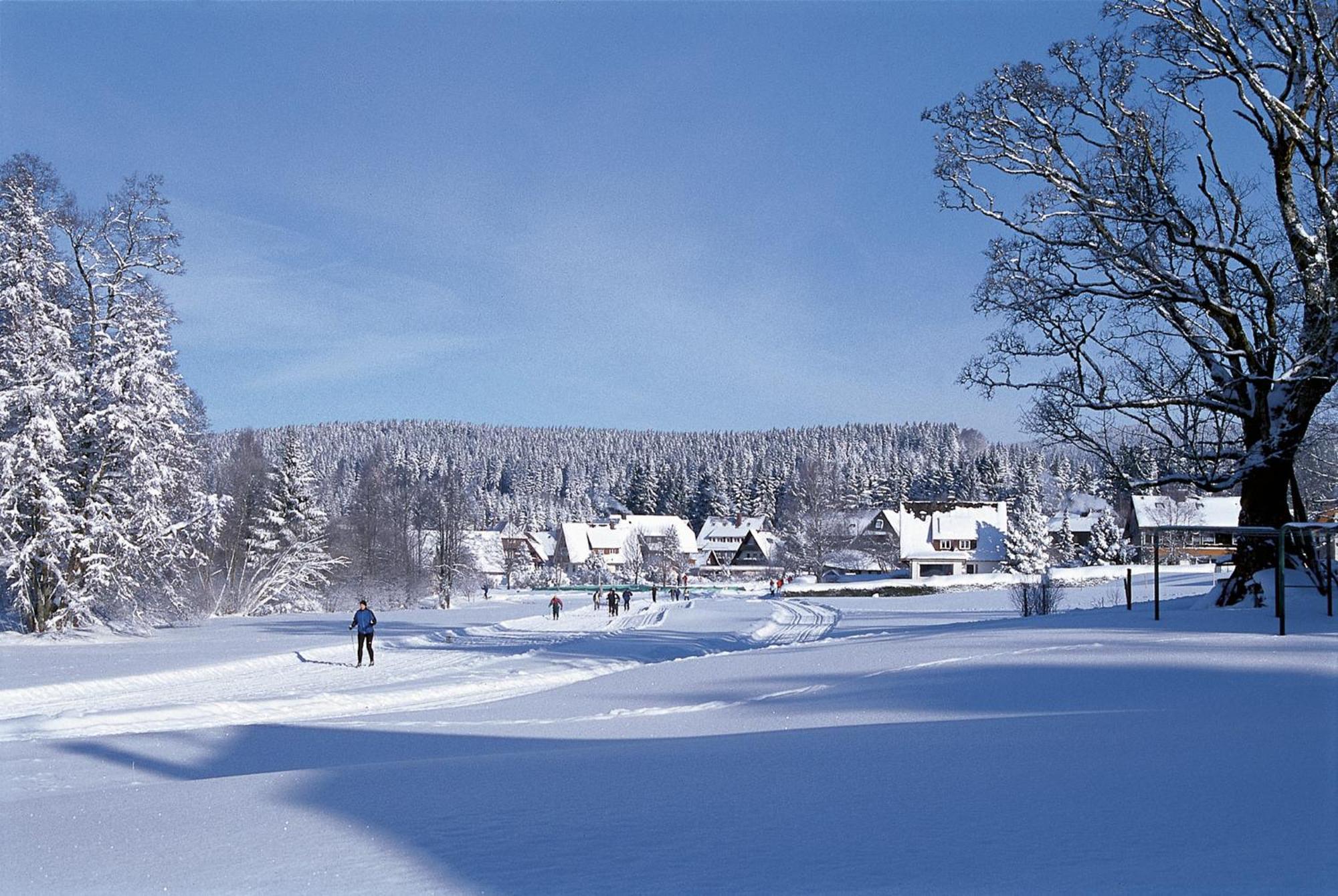 Drei Tannen - Wohnung 04 - Apartmenthaus, Titisee, Nahe Badeparadies Dış mekan fotoğraf