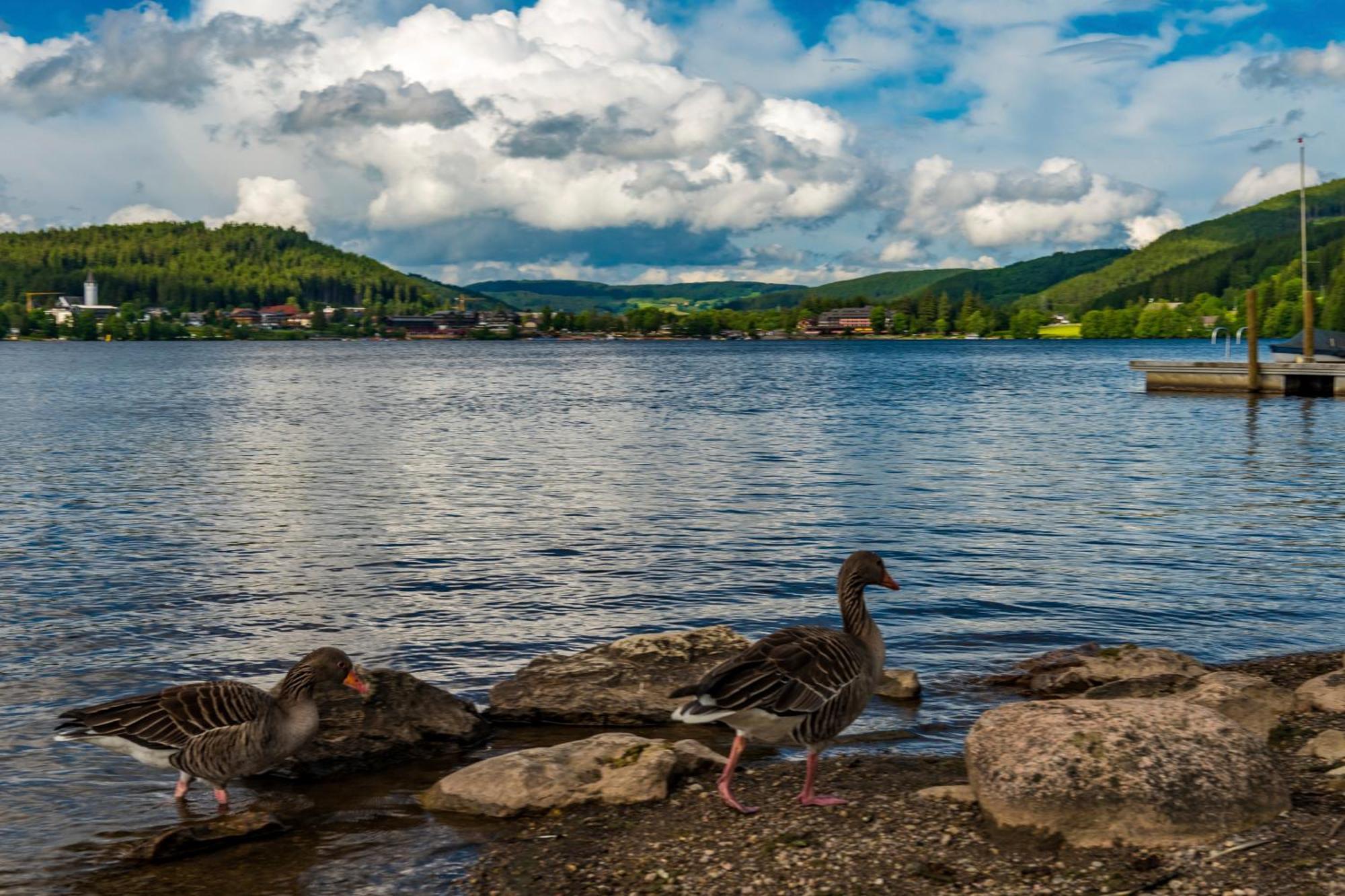 Drei Tannen - Wohnung 04 - Apartmenthaus, Titisee, Nahe Badeparadies Dış mekan fotoğraf