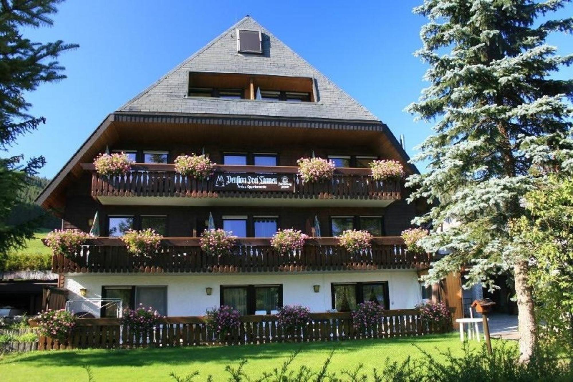 Drei Tannen - Wohnung 04 - Apartmenthaus, Titisee, Nahe Badeparadies Dış mekan fotoğraf